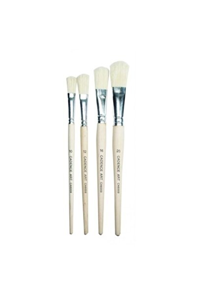 Cadence Set de 4 perii cu peri Ca6009