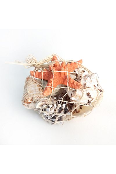 evinizdeki okyanus esintisi turkuaz hediyelik Beige Mesh Basket Shell-small