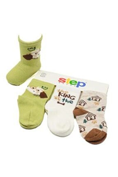 Step Boy's Socks