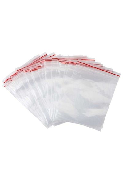 Dolphin Ziplock Bag 17*23 - 300pcs