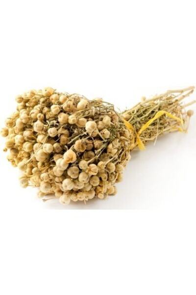 Genel Markalar Üzerlik Otu Tütsüsü / 1 Demet