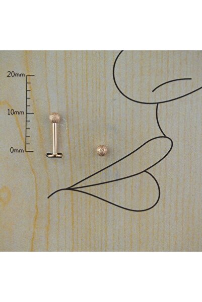 TAKIDAN Cancanlı Rose Cerrahi Çelikdudak Kıkırdak Tragus Helix Piercing 8 Mm