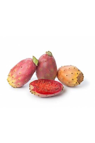 Tohumcumm 5 Adet Dikenli Incir Tohumu Hint Inciri Frenk Inciri Tohumu Saksı Toprak