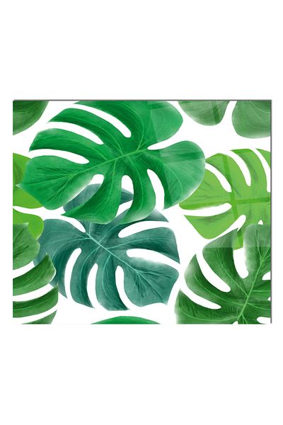 Olinpa 76X49,5 cm Glass Stove Back Protector Countertop Built-In Back Protector |   Leaf