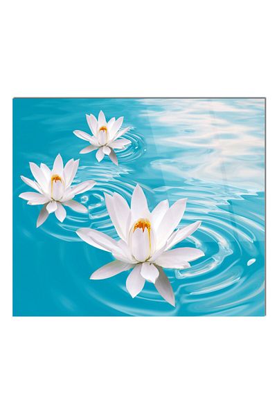 Olinpa 50X50 cm Glass Stove Back Protector Countertop Built-In Back Protector |   Marble