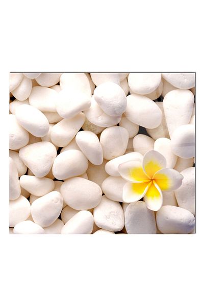 Olinpa 76X49,5 cm Glass Stove Back Protective Countertop Built-In Back Protective Stone