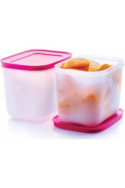 Tupperware Alaska Storage Container Set of 2 1.1 Liters