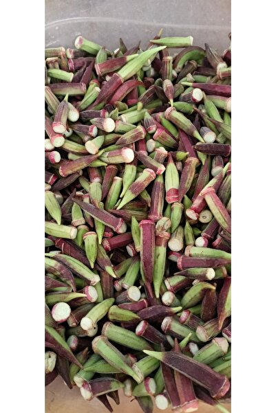 rüzgar pazarlama Bamya (yalova Akköy) Tohumu (hibrit Ve Gdo'lu Değildir) 10 Gr