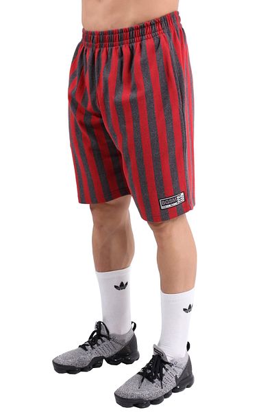 BGSM Fitness Sports Shorts 1511