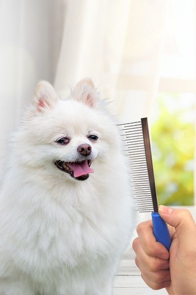 Buffer ® Hair Lightener Cat Dog Metal Tooth Pet Grooming Brush + Self-Cleaning Care Comb