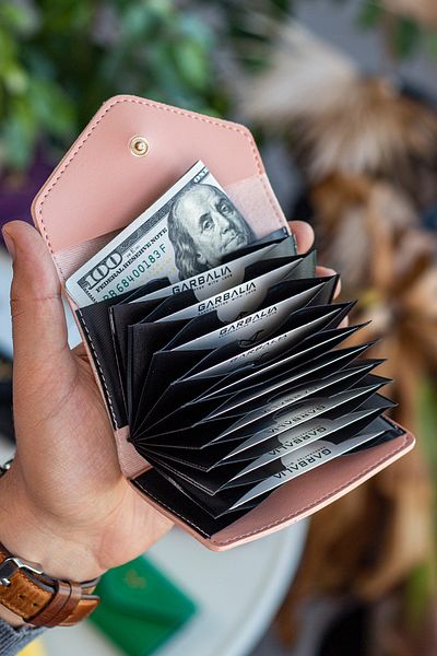 Garbalia Lviv Vegan Leather Accordion Powder Women's Wallet Card Holder