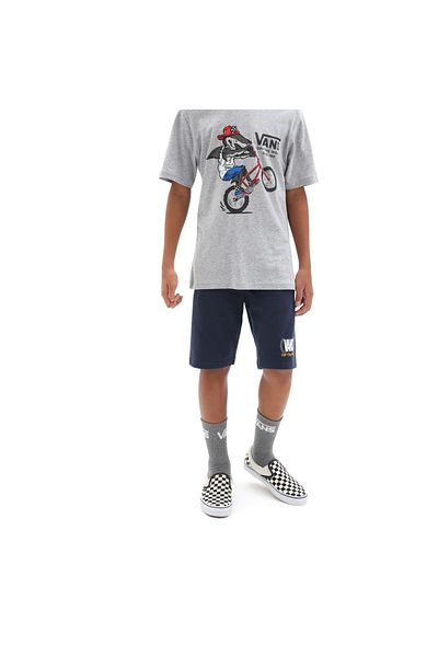 Vans shorts kids price store