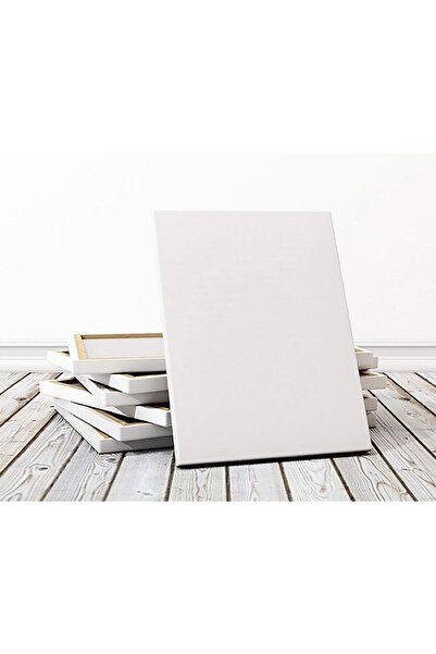 Koza Lona Sanat 70 X 100 Cm 3'lü Profesyonel Tuval Paketi