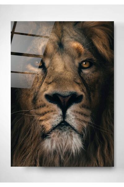 Digi-Glass Pictură pe sticlă Aslan