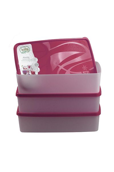 HOBBY LİFE Alaska Nofrost Storage Container 2 Liters 3 Pieces Fuchsia