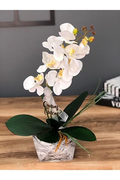 Masalsı Concept Canım Anneme Özel Anneler Günü Hediyesi, Dekoratif Aksesuar T...