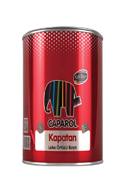 Filli Boya Kapatan 0.25lt