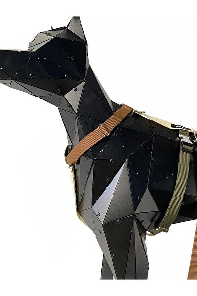 Jimi pet Retro Model H Tipi Tasma Seti Large Beden