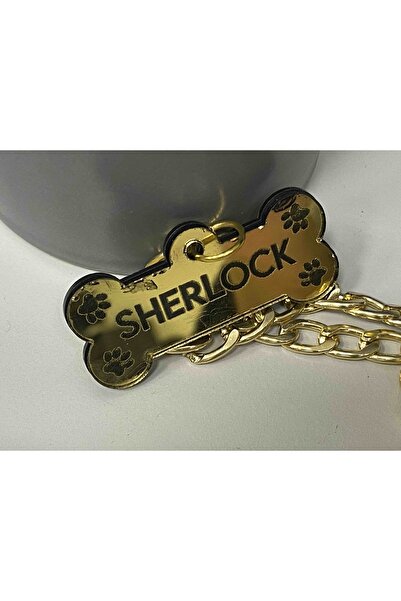 YENİ HEDİYELİK DÜNYAM Beni Sev - Isim Yazılı Kedi Künyesi Köpek Isimliği 22cm Zincir Çan