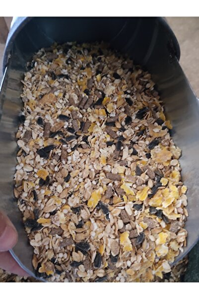 Nazilli Aşan Tarım 1 Kilogram Özel Karışım Kemirgen Yemi Tavşan Gine Pig Hams...