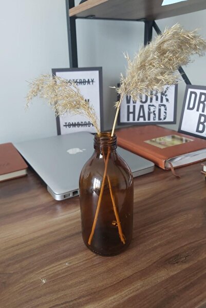 NOAS HOME 3x Vază din sticlă chihlimbarie 300 ml Decor ambiental