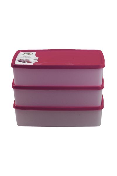 HOBBY LİFE Alaska Nofrost Storage Container 2 Liters 3 Pieces Fuchsia