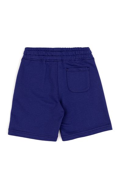 U.S. Polo Assn. Pantaloni scurți și bermude albaștri pentru băieți