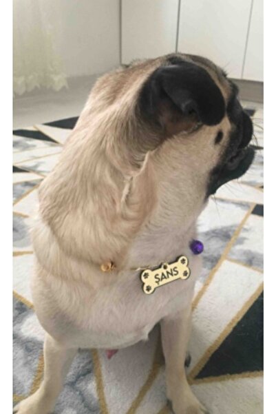 Genel Markalar Beni Sev - Isim Yazılı Kedi Künyesi Köpek Isimliği 46cm Zincir Çan