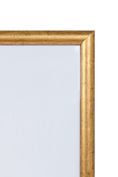 Tekin Ozalit Picture Frame A4 Gold Antique