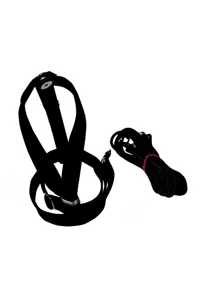 Petcalvit Jako Papağan Elastik Lacivert Eğitim Uçurma Tasması