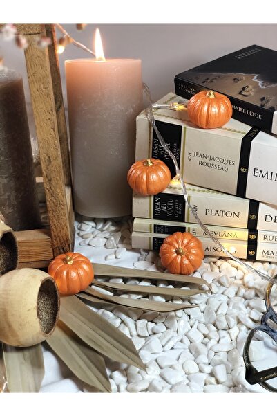 Reynes Balkabağı Dekor 4 Adet Beton Kabak Obje Biblo Balkabağı Süs Dekorasyon