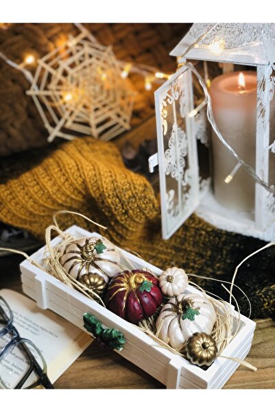 Reynes Balkabağı Dekorasyon Set Beton Kasa Ve Kuru Bitkiler Dahil Kabak Set