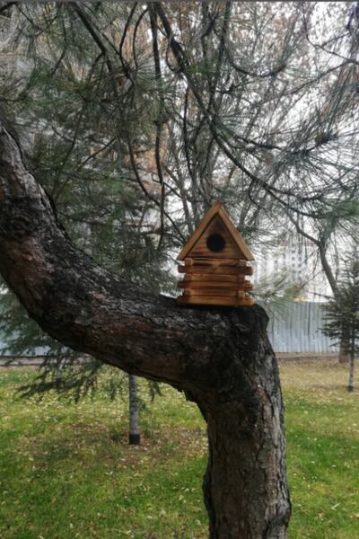 BBAWOODSHOP Doğal Kuş Yuvası Kuş Evi - Ahşap El Yapımı Kuş Yuvası - Evcil Yabani