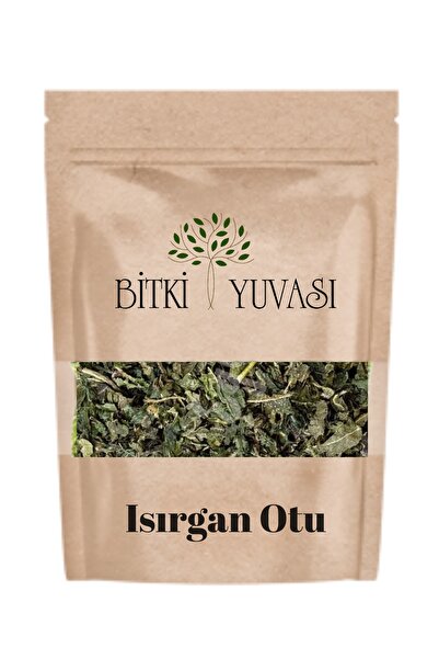 Bitki Yuvası Isırgan Otu