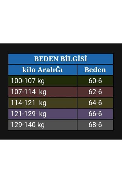 Tempee Büyük Beden Klasik Takım Elbise