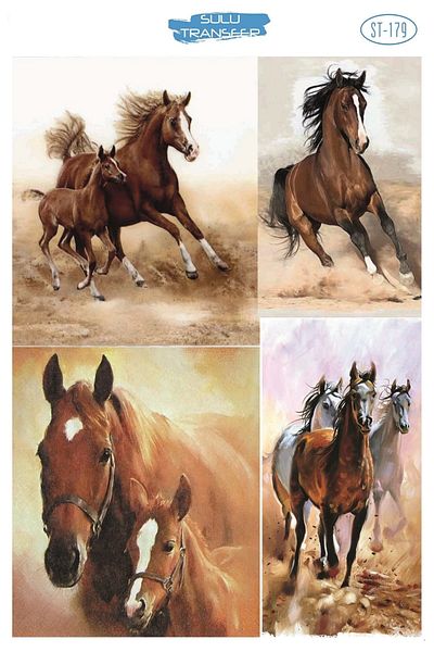 Ümraniye Hobi Sanat Water Transfer 25*35 Cm Stb-179