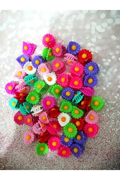 GÜLPEŞE 20 إبزيم مشط ديزي ملون