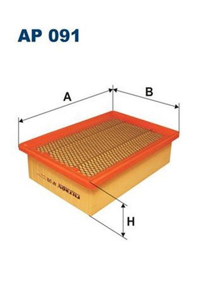 Filtron Ap091 Air Filter (WM369458)