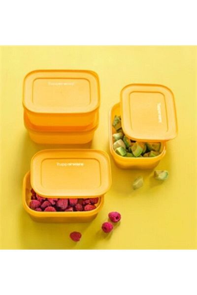 Tupperware Alaska Series Deep Freezer Storage Container 450 ml