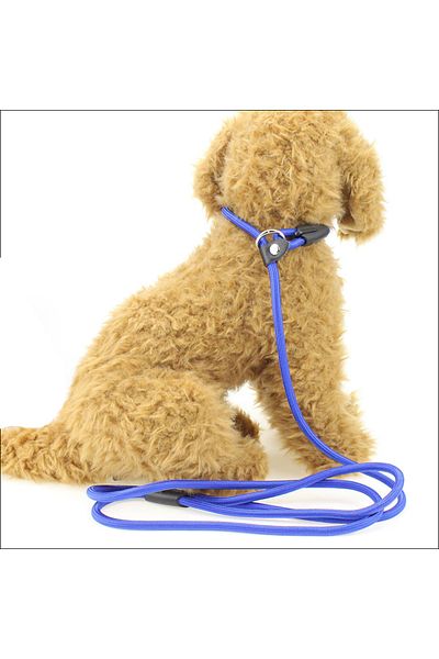 Bobo Red Dog Collar - Small Breed 0.6 Cm
