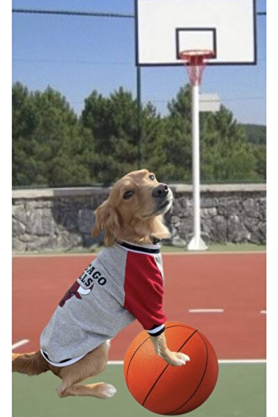 Barneystore سويت شيرت قطني ممشط للقطط والكلاب