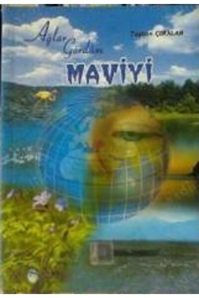 Karınca Yayınları Ağlar Gördüm Maviyi