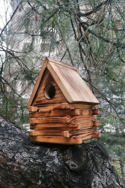 BBAWOODSHOP Natural Bird Nest - Wood Handmade, Pet Wild