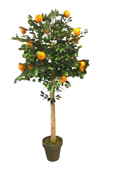 YEŞİLADA Yapay Mandalina Ağacı 1.70 Mt Boy Turunç Meyve Ağacı Gerçek Doku Doğ...