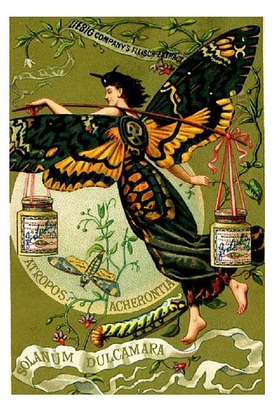 dialands Vintage Design Please Store Original Title