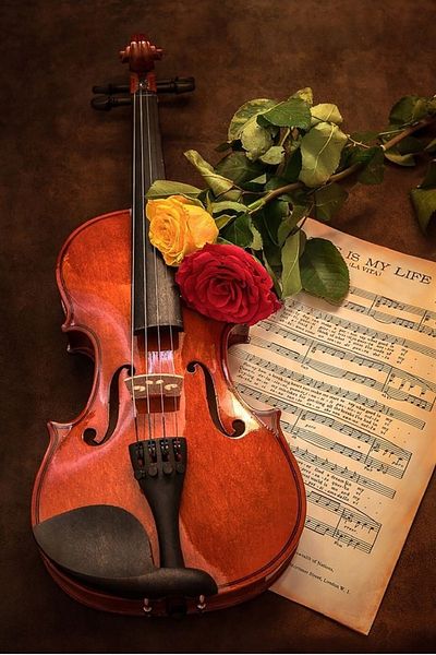 dialands Violin