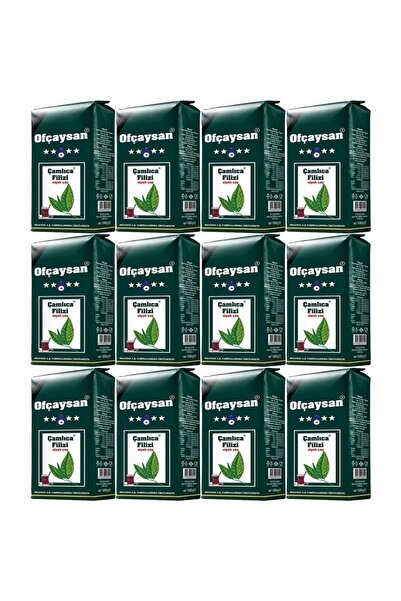Ofçay Çamlıca Filiz Çayı 12 X 1 Kg