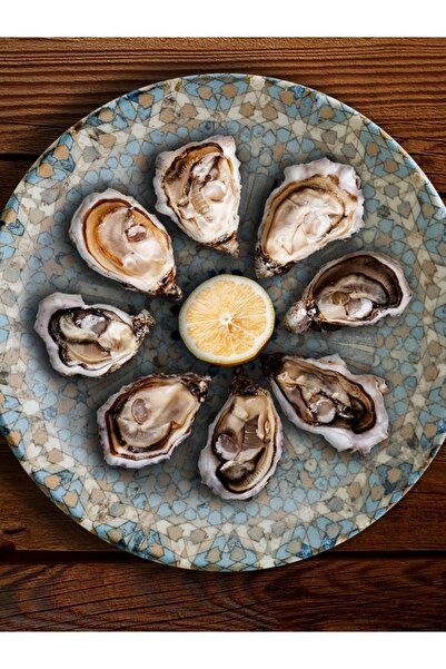 Bonna Porselen Luca Mozaik Gourmet 27 Cm Servis Tabak 6 Adet