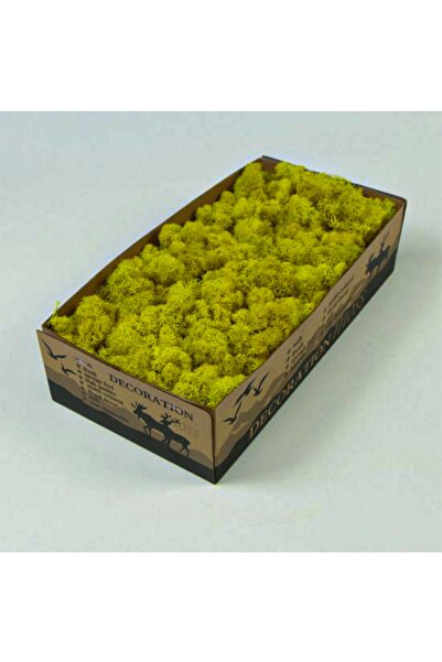 trendbahce Şoklanmış Teraryum Yosunu - Gold Green 30gr