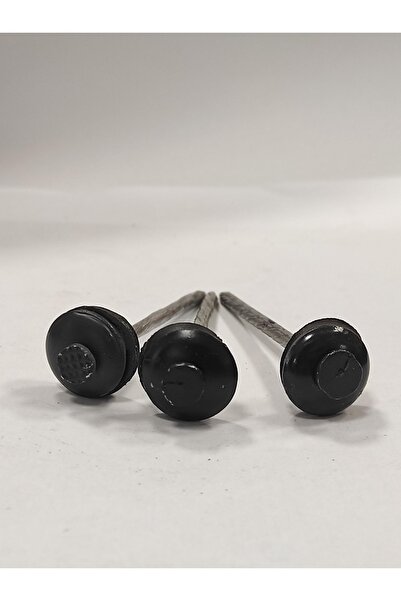 Sam Tel Boyalı Çatı Çivisi 8 Cm Şapkalı Boyalı Çivi Antrasit Gri Ral 7016 (75...